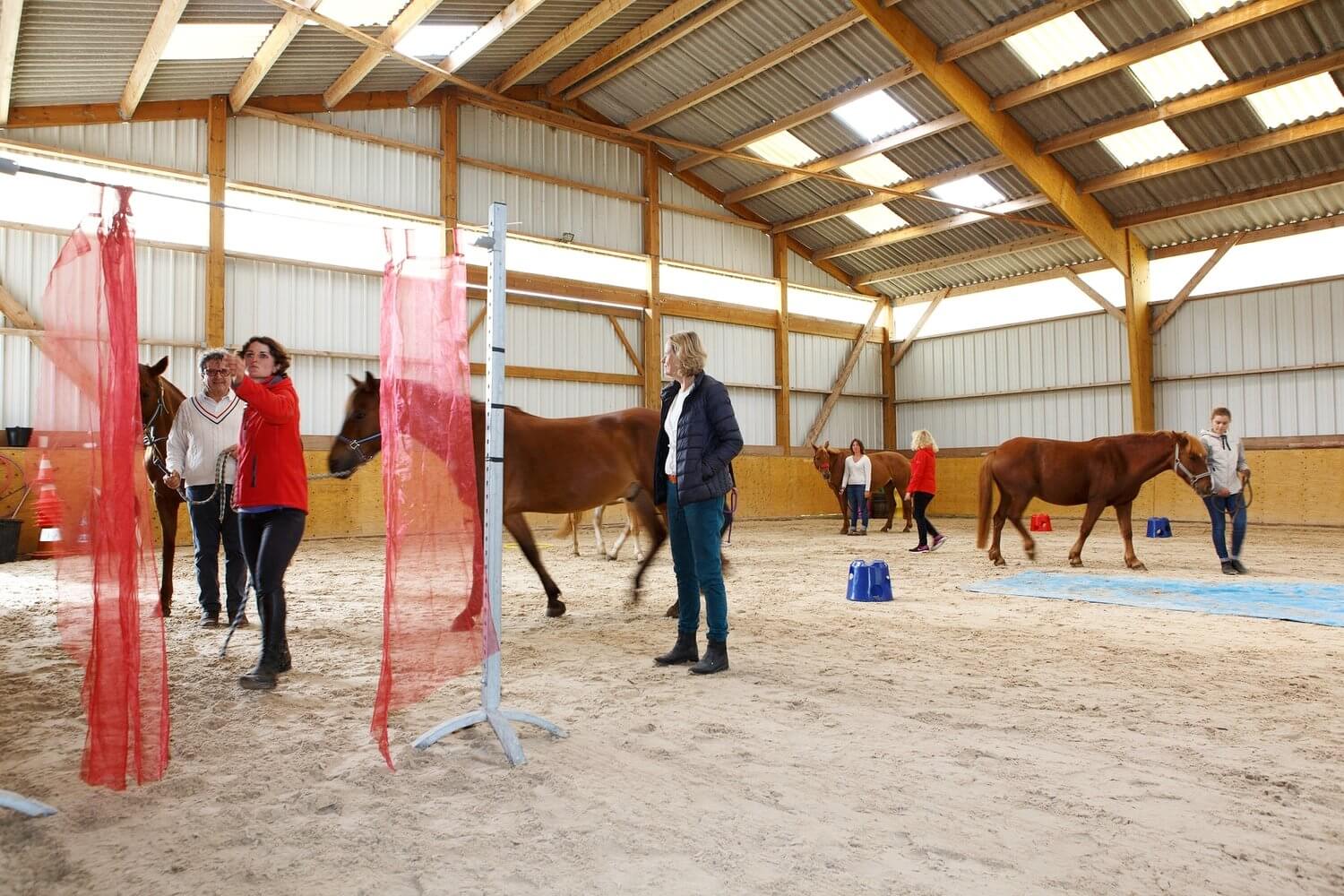 Prenez les rênes de votre communication d’équipe à cheval